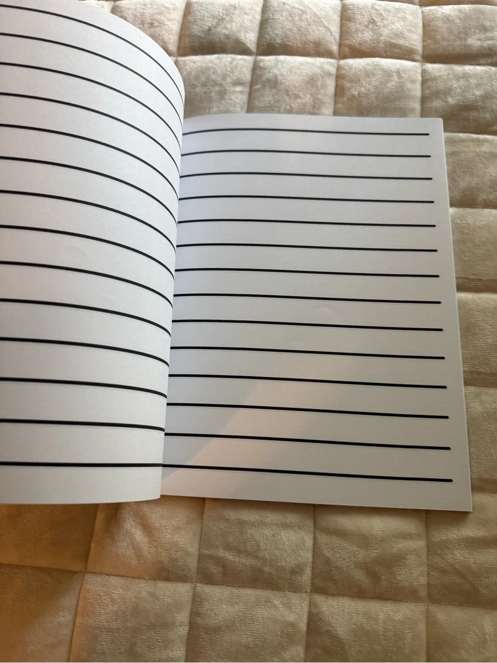 LOW VISION Bold Paper Notebooks Lot of 2  NWT